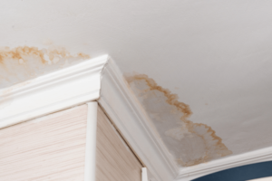 Roof Leaks Here’s How to Identify and Fix Them Fast